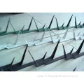 Hot Dipped Galvanized Wall Spikes